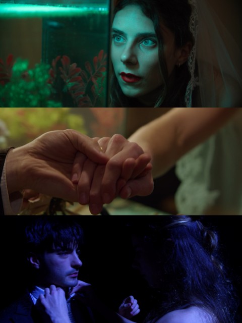 Les Néons Verts · Éva Wellia
camera operator & steadicam operator